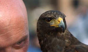 Les pervers narcissiques - Partie 1