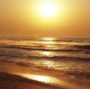 Ces souvenirs que nous ne voulons pas oublier