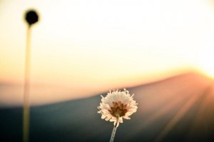 Vis l'instant présent, c'est maintenant!