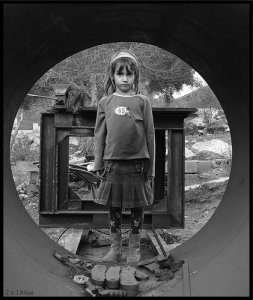 Le syndrome de Salomon : les enfants face à la séparation de leurs parents