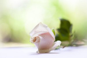 Le cadeau d'être soi-même