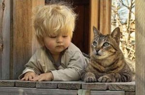 Adoptez la psychologie du chat !