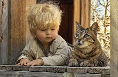 Adoptez la psychologie du chat !