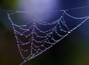 Le hasard n'existe pas, mais la synchronicité, oui !