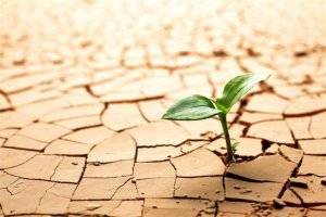 Les obstacles nous rendent plus forts