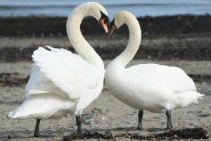 Construire une relation de couple durable