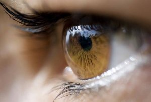 Le langage des yeux