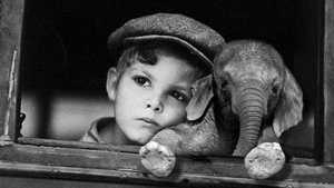 Sommes nous comme l'éléphant enchaîné?