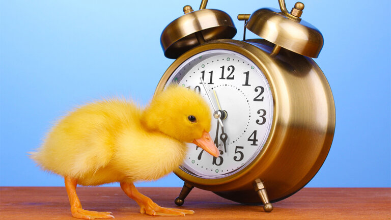 4 choses que les personnes brillantes font le matin