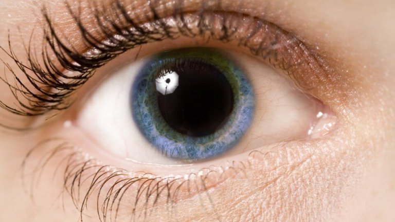 Que révèlent nos pupilles ?