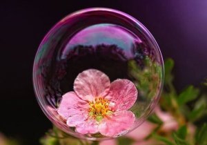 Les enfants “bulle” et les dangers de la surprotection