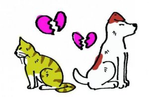 Cinq idées pour convertir les conflits en opportunités