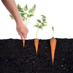 11 clés pour éviter d'être manipulé