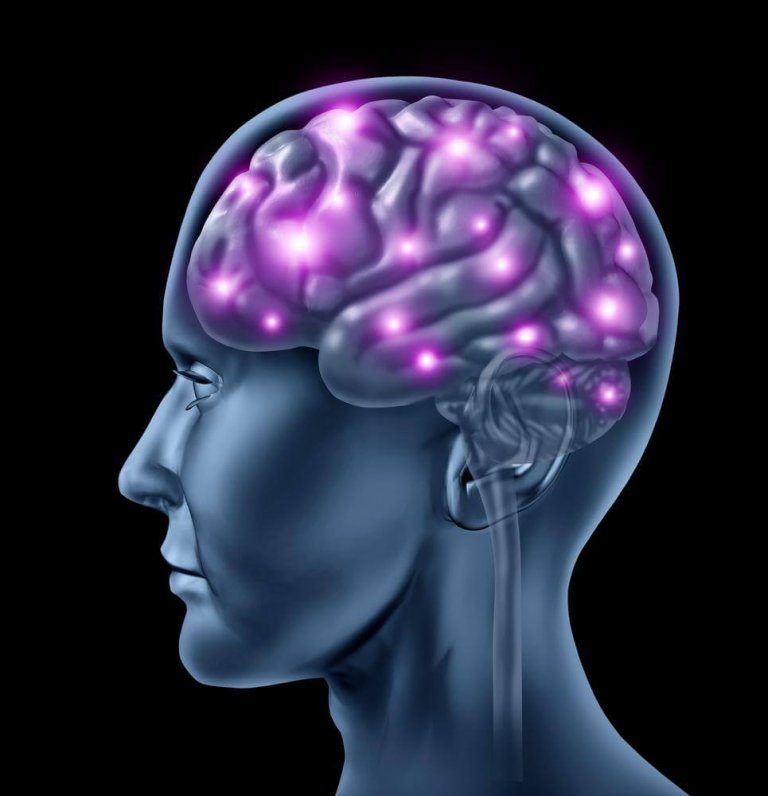 8 informations insolites sur le fonctionnement de votre cerveau