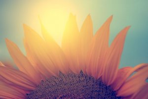 Le soleil arrive toujours après l'orage : l'art de recommencer