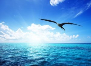 Ne laisse personne t'empêcher d'accomplir tes rêves !