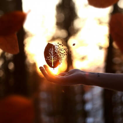 insécurité personnelle 420x420