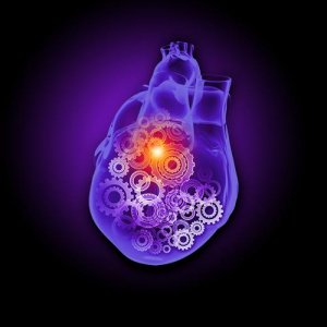 Le stress peut vous tuer