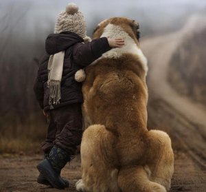 Vous n’êtes pas ce que vous réussissez mais ce que vous surmontez