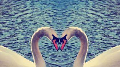 amor-420x235