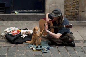 Les animaux de compagnie, les petits maîtres du soutien affectif