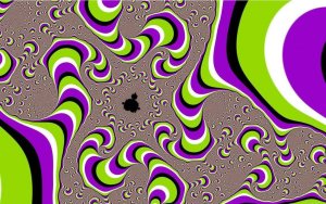 Les iIlusions sont optiques, quand le cerveau s'équivoque