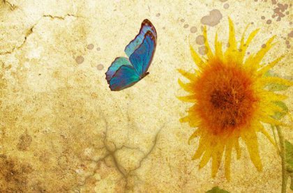 ca vaut la paine de lutter 2