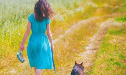 camino-perro-420x250