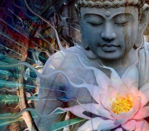 Les 4 vérités nobles du Dharma