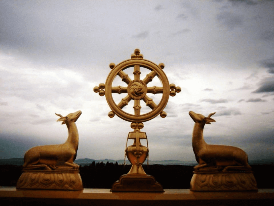 dharma-chakra