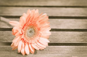 Comment atteindre la paix et la tranquillité ?
