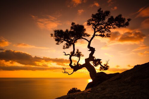 shutterstock_95629066