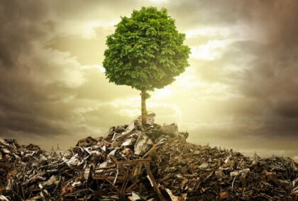 arbre