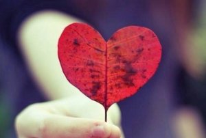 Quel est le profil émotionnel de votre cerveau ?