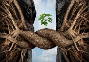 Les 7 "coups" de la vie qui me construisent