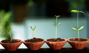 8 choses qui révèlent votre maturité émotionnelle