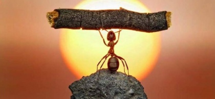 motivation-420x194