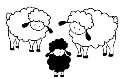 mouton noir22-420x274