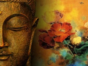 Namasté, la valeur de la gratitude et la reconnaissance