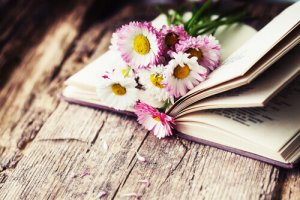 Combien de choses perdons-nous par peur de perdre ?