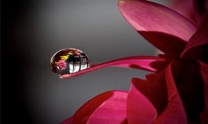 Ce que nous avons oublié de la vie