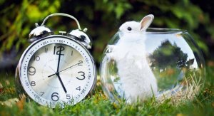 Soyez productif en seulement 5 minutes !