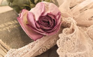 Dans un coin de l'âme, le lieu secret des souvenirs