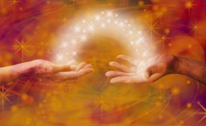 L'arbre de vie : une âme pour deux corps