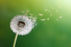 Apprendre à accepter, apprendre à changer