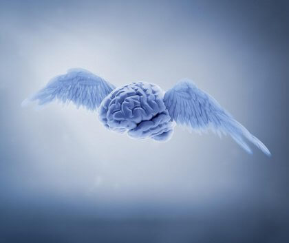 cerveau-ailes-article_14101979673-420x353