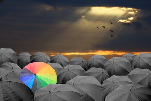 difference-shutterstock_163223417