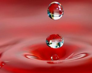 L'amour liquide ou la fragilité des liens