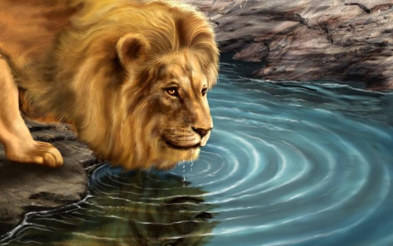L'histoire du lion et de son reflet