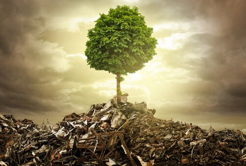 lumiere-shutterstock_192450863